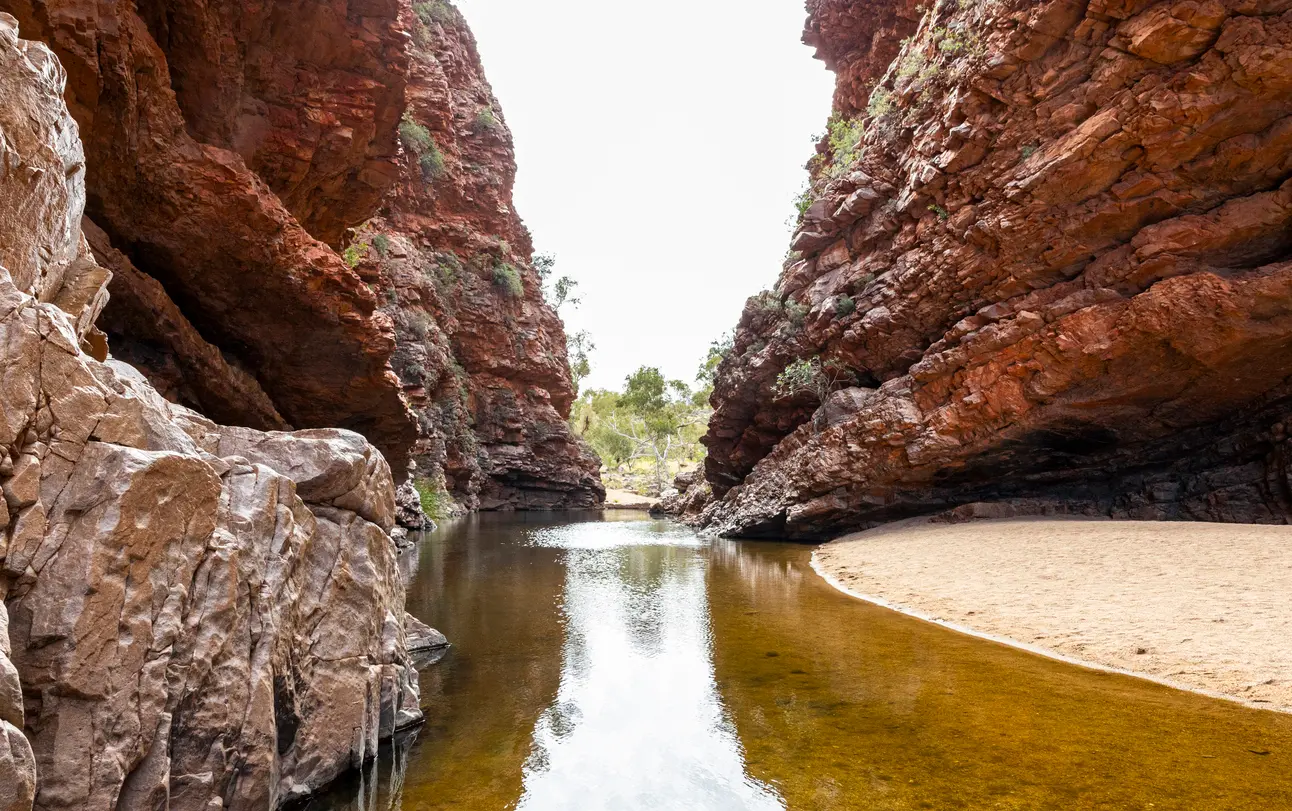 Waterhole winding between towering red-orange rock walls at Simpsons Gap, or Rungutjirpa, in the West MacDonnell Ranges.
