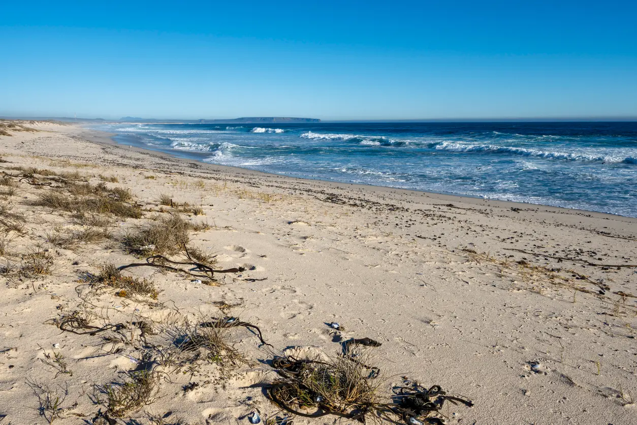 Sandy beach and Atlantic waves near Elands Bay on South Africa's West Coast, with coastal dunes, shoreline vegetation and distant views along the coastline.