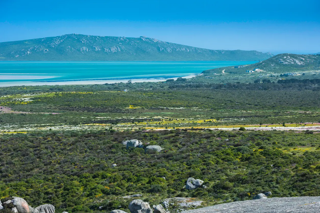 View across West Coast National Park towards the turquoise waters of Langebaan Lagoon, with fynbos landscapes and seasonal wildflowers in the foreground.
