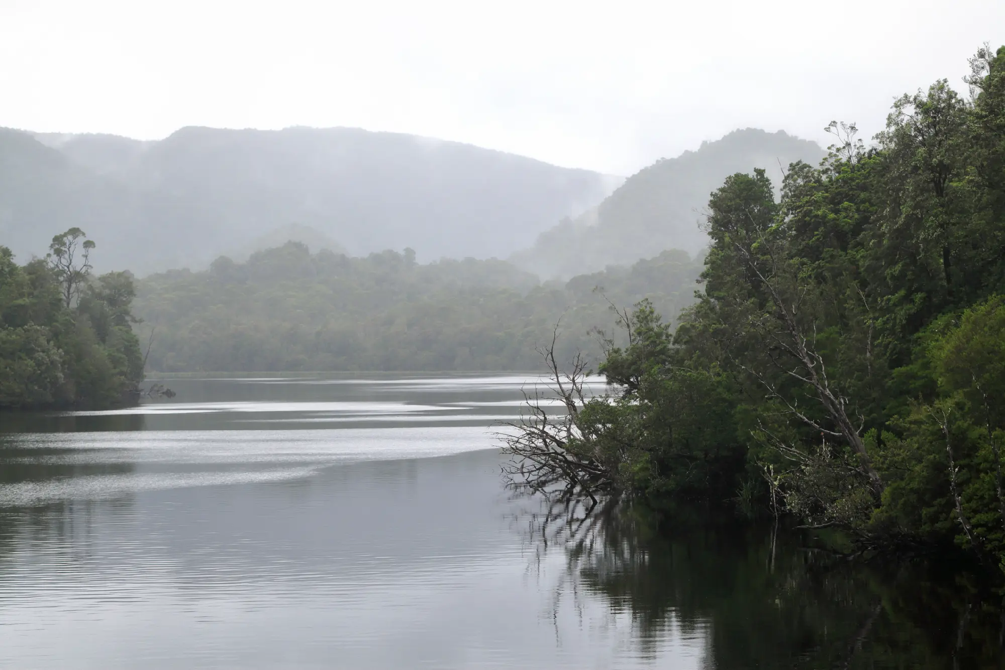 Misty Gordon River winding through dense temperate rainforest and forested mountains in western Tasmania, Australia.