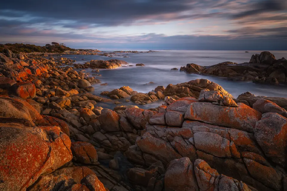 Orange lichen-covered granite coastline at sunrise at larapuna / Eddystone Point, Tasmania.