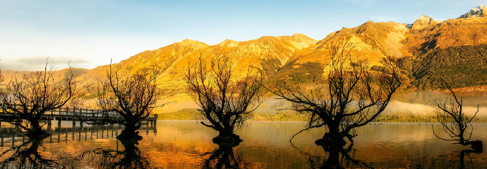 Willow trees standing in shallow water along Lake Wakatipu near Glenorchy with mountains lit by golden evening light, South Island, New Zealand.