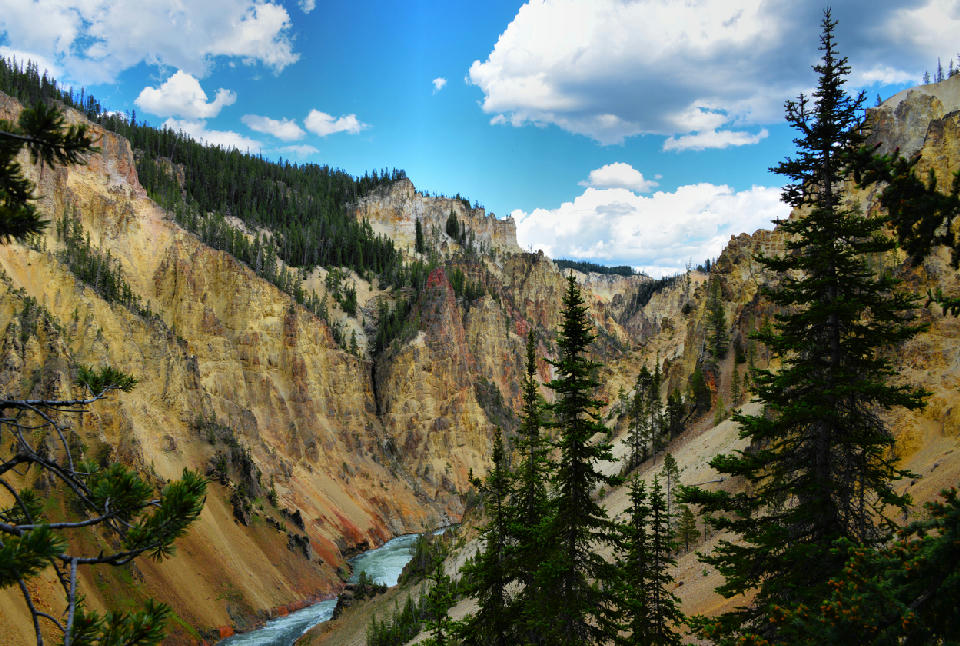 Wide view of the Grand Canyon of the Yellowstone from Lookout Point with colourful canyon walls and the river below