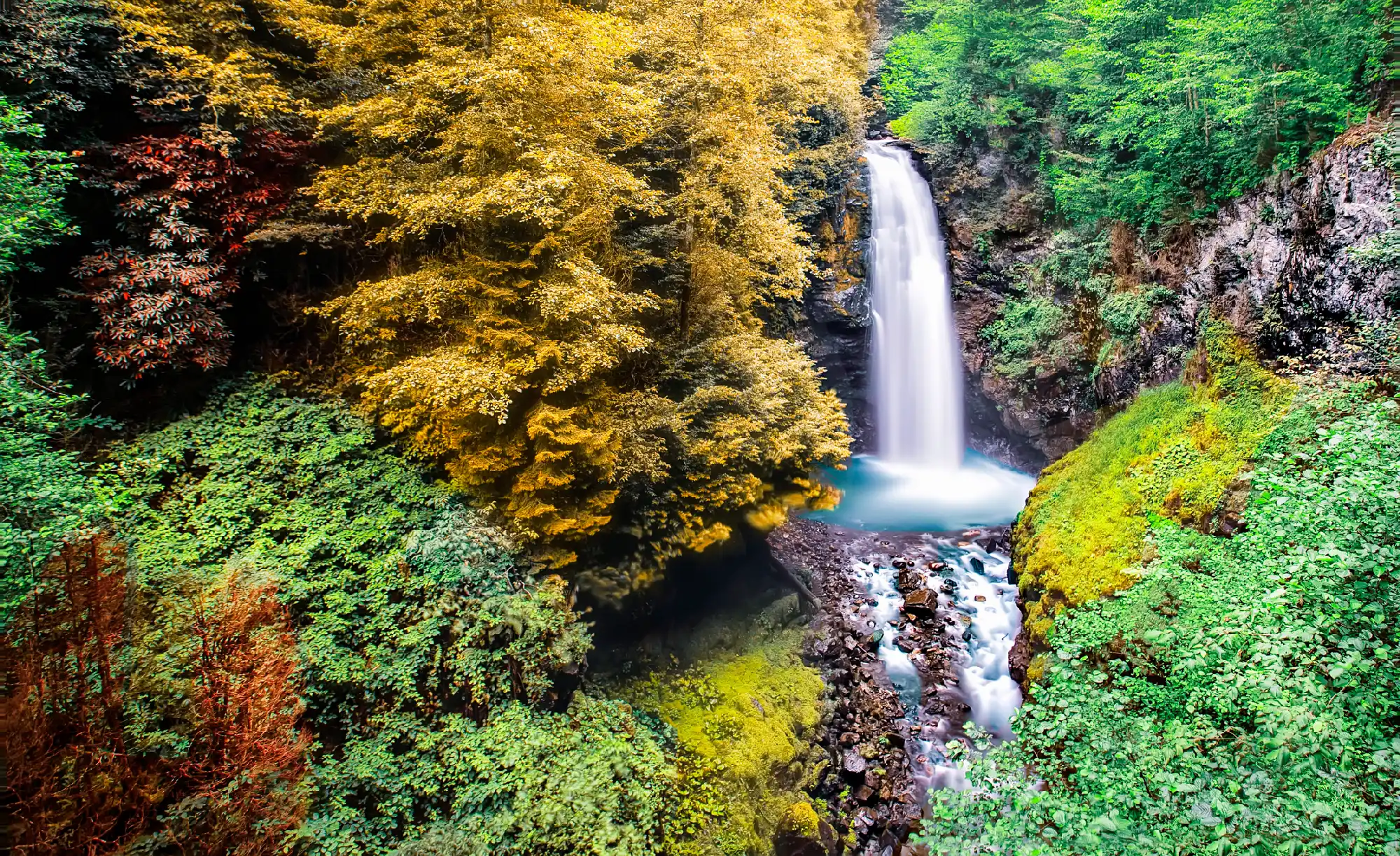 Palovit Waterfall cascading into a forested gorge surrounded by dense vegetation near Çamlıhemşin in Rize, Turkey.