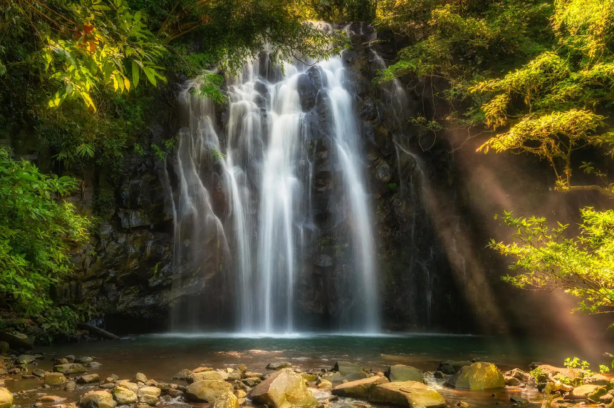 Ellinjaa Falls cascading into a rainforest pool, with golden sunlight illuminating mist and surrounding tropical foliage near Millaa Millaa, Queensland.