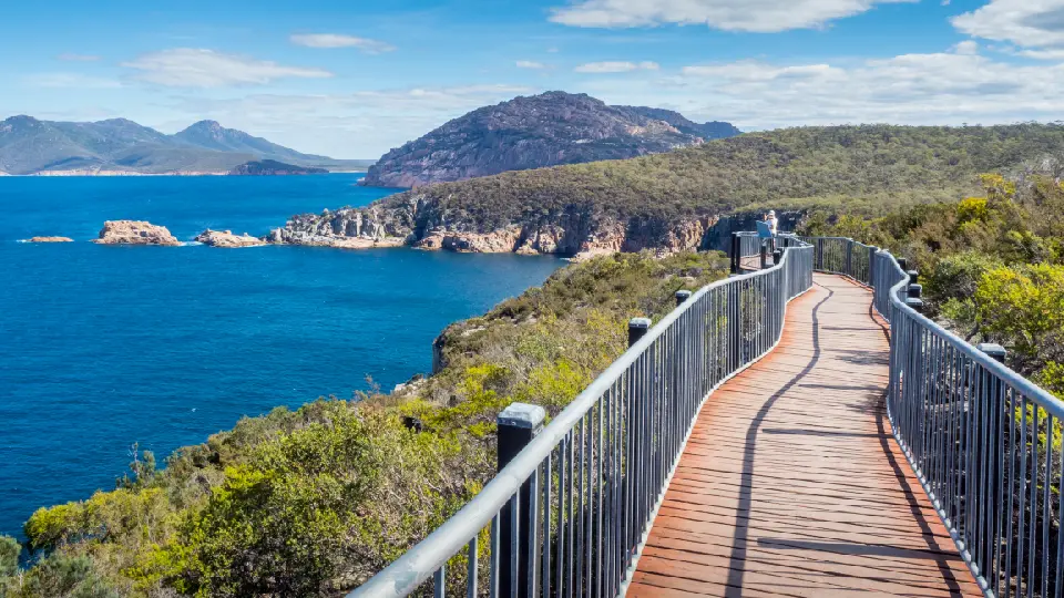 Elevated Cape Tourville boardwalk overlooking rocky headlands and the Tasman Sea in Freycinet National Park, Tasmania.