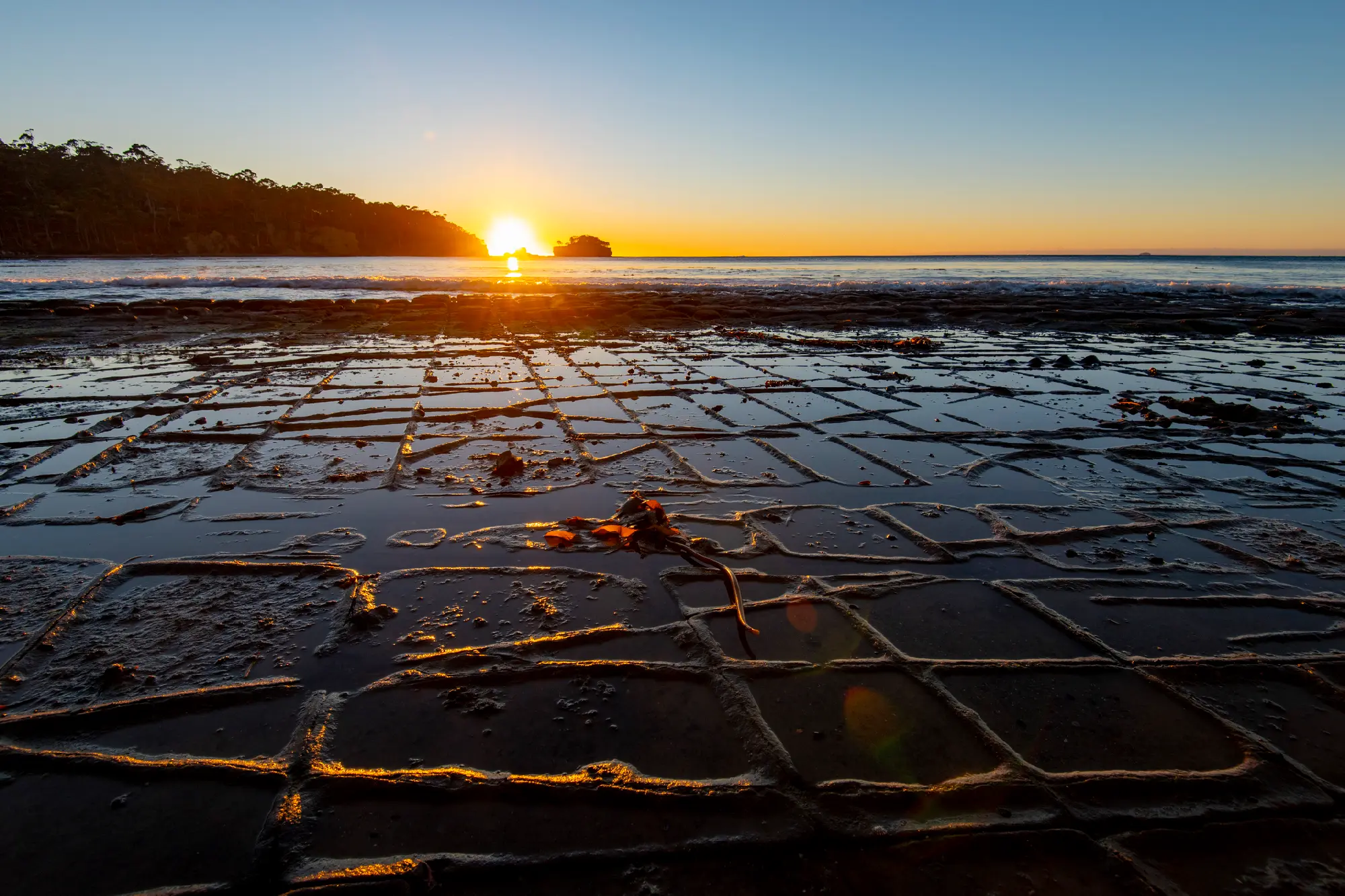 Golden light reflecting across the geometric rock patterns of Tessellated Pavement, Tasmania.