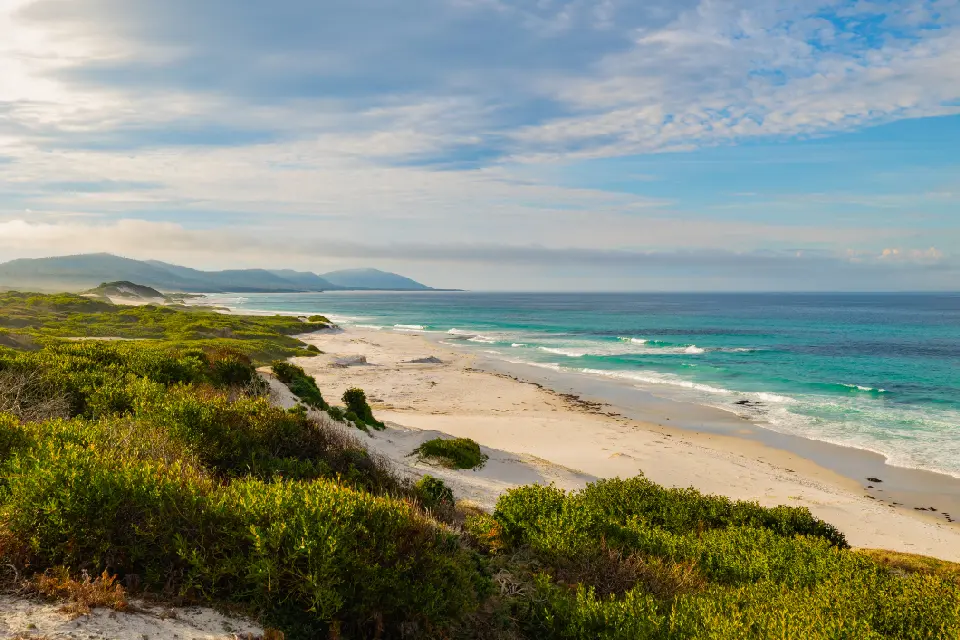 Long white-sand shoreline at Friendly Beaches with turquoise waves, coastal vegetation and hazy hills extending into the distance, Tasmania.