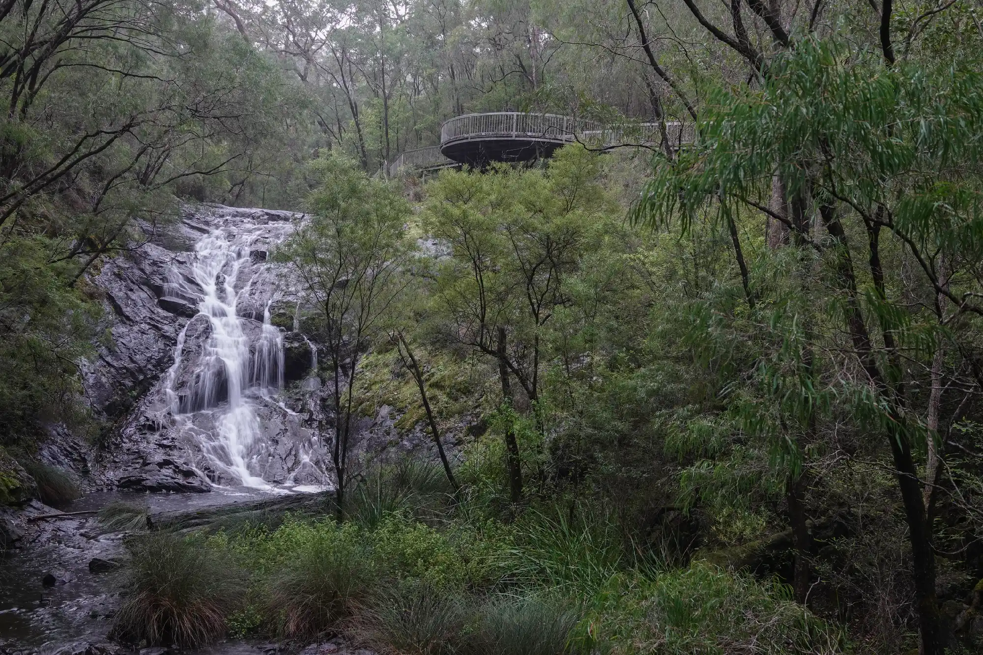Beedelup Falls and elevated lookout platform surrounded by forest in Greater Beedelup National Park, Western Australia.