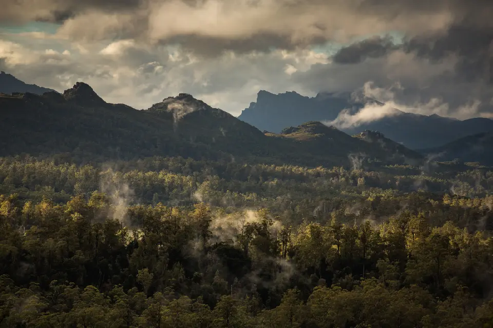 Mist and low clouds over forested mountains in Franklin-Gordon Wild Rivers National Park, Tasmania.