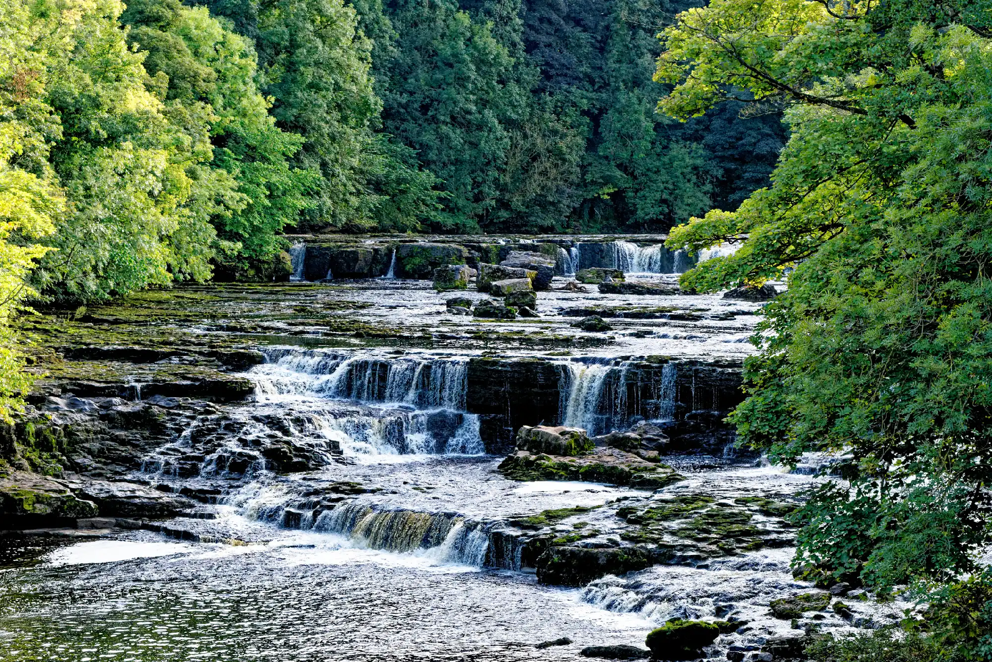 Multiple stepped limestone waterfalls along the River Ure at Aysgarth Upper Falls, framed by green woodland in the Yorkshire Dales National Park.