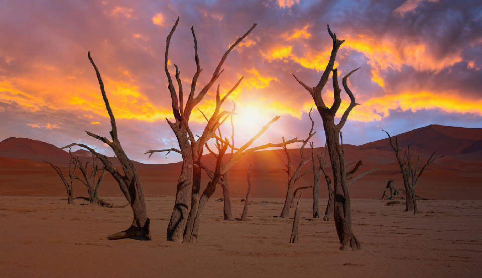 Dead camel thorn trees in the white clay pan of Deadvlei at sunset, surrounded by red Namib Desert dunes.