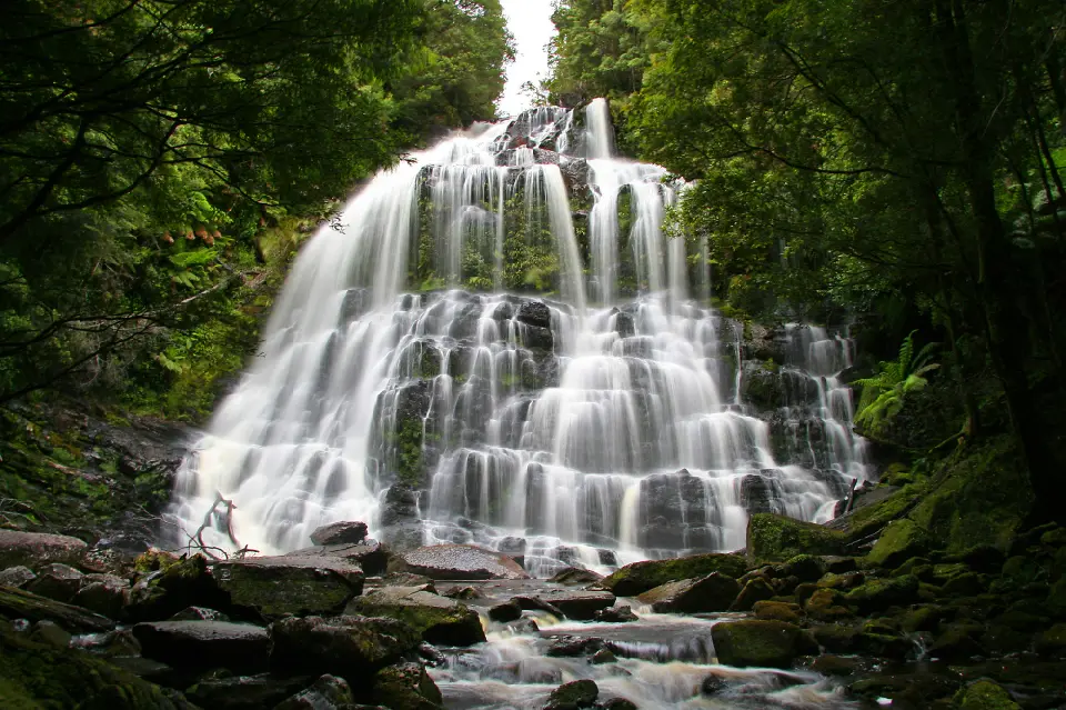 Nelson Falls cascading over tiered rock ledges surrounded by lush temperate rainforest in western Tasmania.