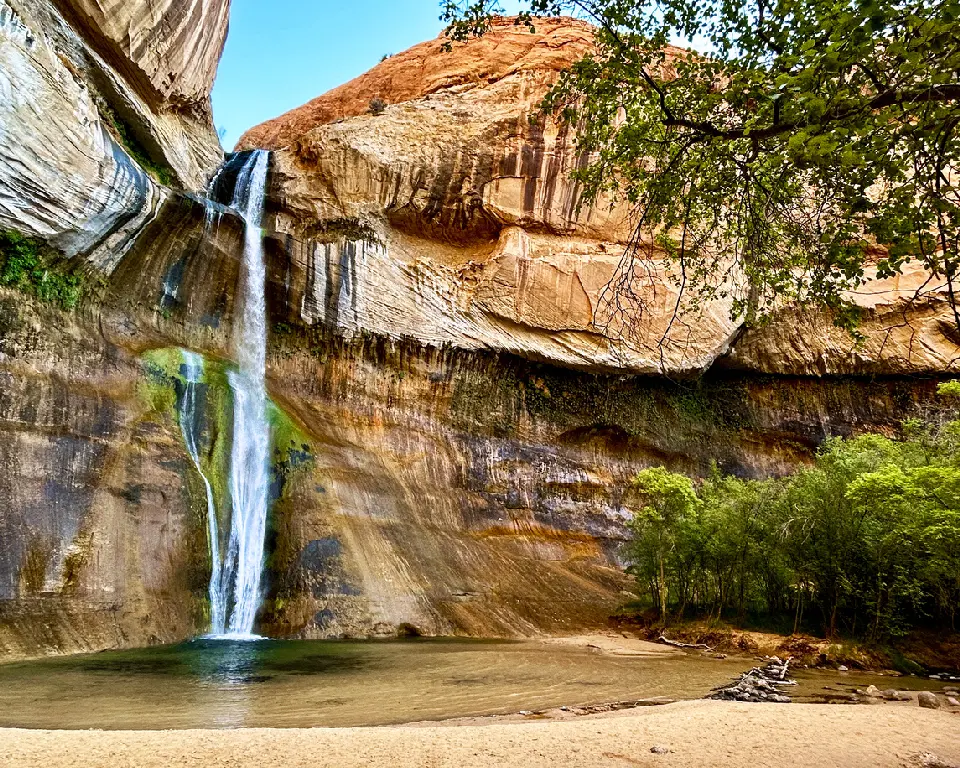 Lower Calf Creek Falls drops over a sweeping sandstone cliff into a clear pool surrounded by green vegetation in the Utah desert.