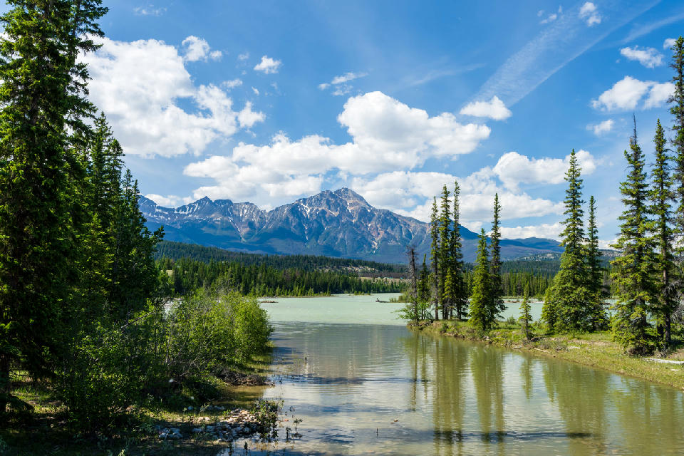 Pyramid Mountain reflected in the Athabasca River with forested banks and blue sky