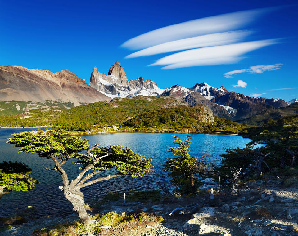 Laguna Capri lake with wind-shaped tree and Mount Fitz Roy under lenticular clouds in Patagonia, Argentina.