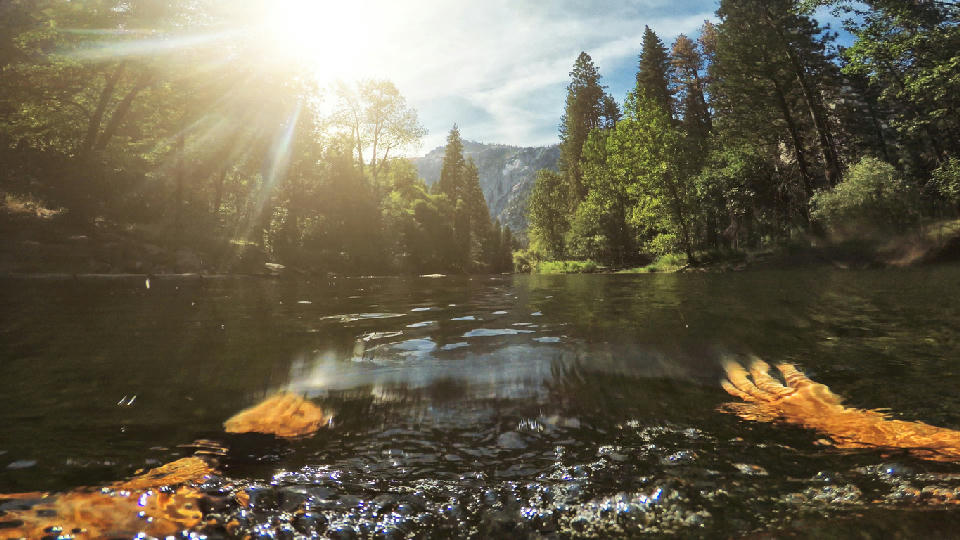 Hands moving through clear water in the Merced River with forested riverbanks and granite cliffs in Yosemite National Park, California.