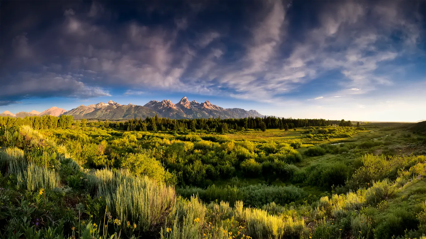 Wetland landscape and Snake River valley with the Teton Range under textured clouds, viewed from Blacktail Ponds Overlook, Grand Teton National Park, Wyoming.