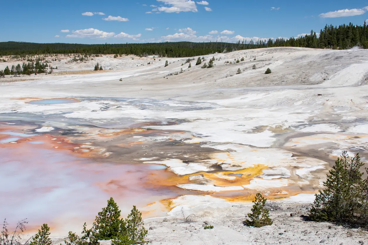 Porcelain Basin Norris Geyser Basin Yellowstone geothermal landscape steaming mineral flats Wyoming USA