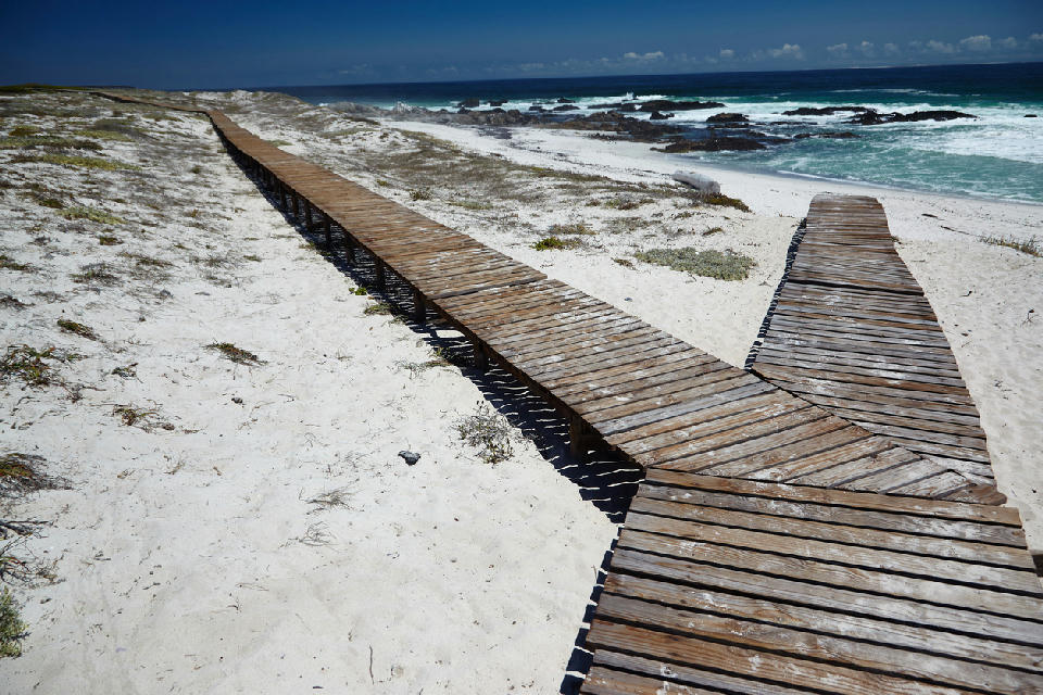 Wooden boardwalk crossing white coastal dunes beside the Atlantic Ocean at Sixteen Mile Beach near Yzerfontein, South Africa.