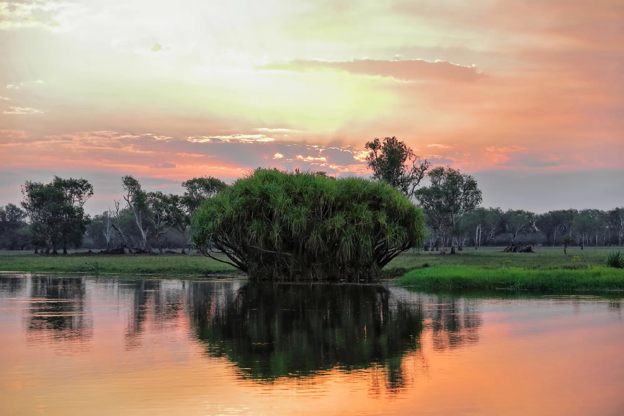 Pandanus vegetation reflected in the calm waters of Yellow Water Billabong at sunset, with pink and orange clouds above the wetlands of Kakadu National Park, Northern Territory, Australia.