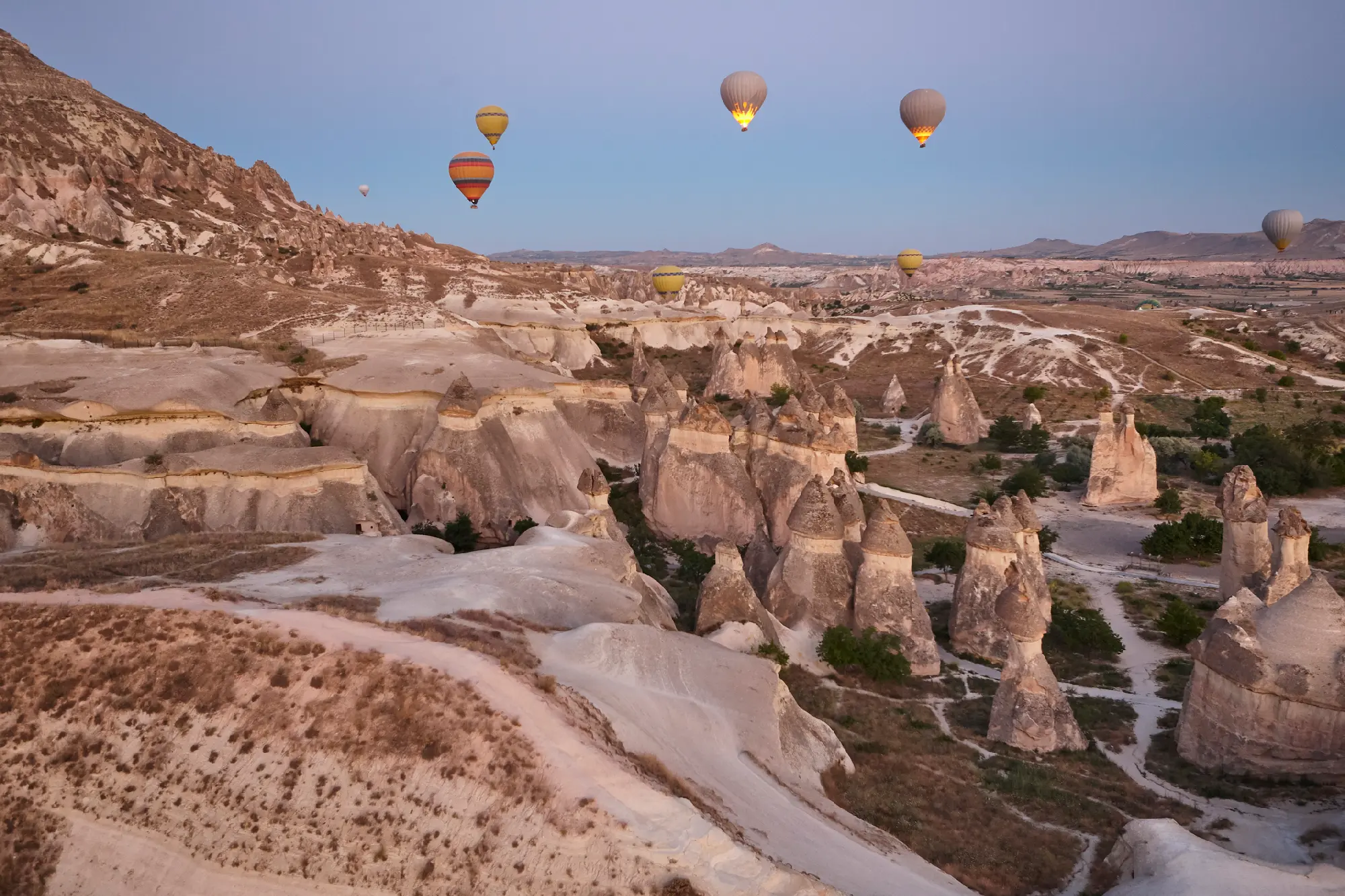 Hot air balloons floating above the fairy chimneys and pink volcanic landscape of Rose Valley in Cappadocia, Turkey, at sunrise.