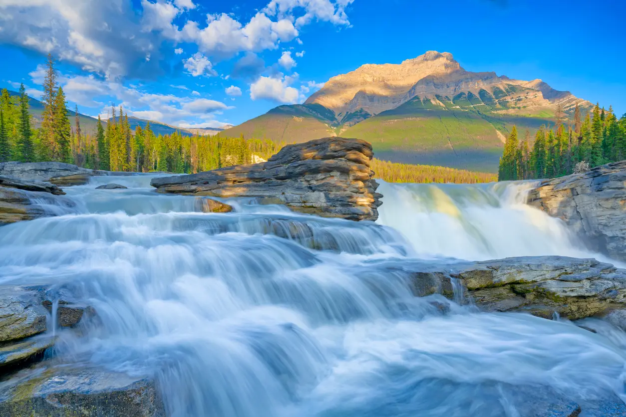 Athabasca Falls cascading over layered rock with forest and mountain backdrop along the Icefields Parkway, Jasper National Park, Canada