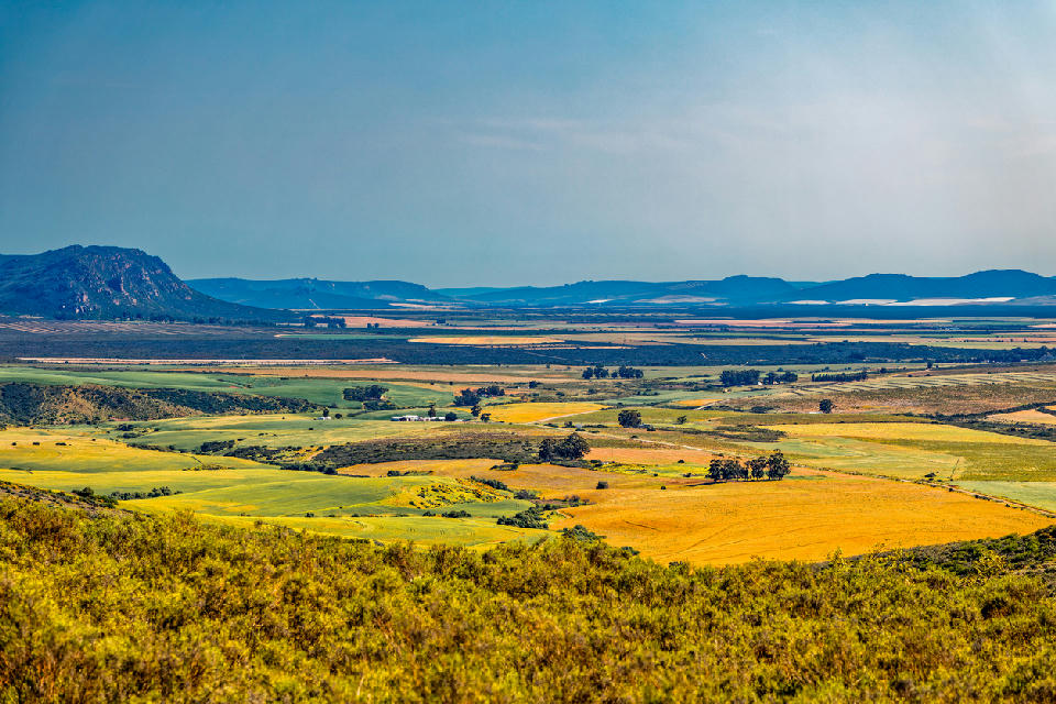 Panoramic view of agricultural fields, fynbos-covered hills and distant mountains near Clanwilliam in the Cederberg Foothills of the Western Cape, South Africa.