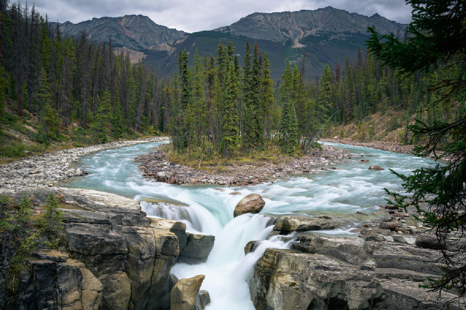 Sunwapta Falls cascading into a rocky canyon with forest and mountains in Jasper National Park, Alberta, Canada