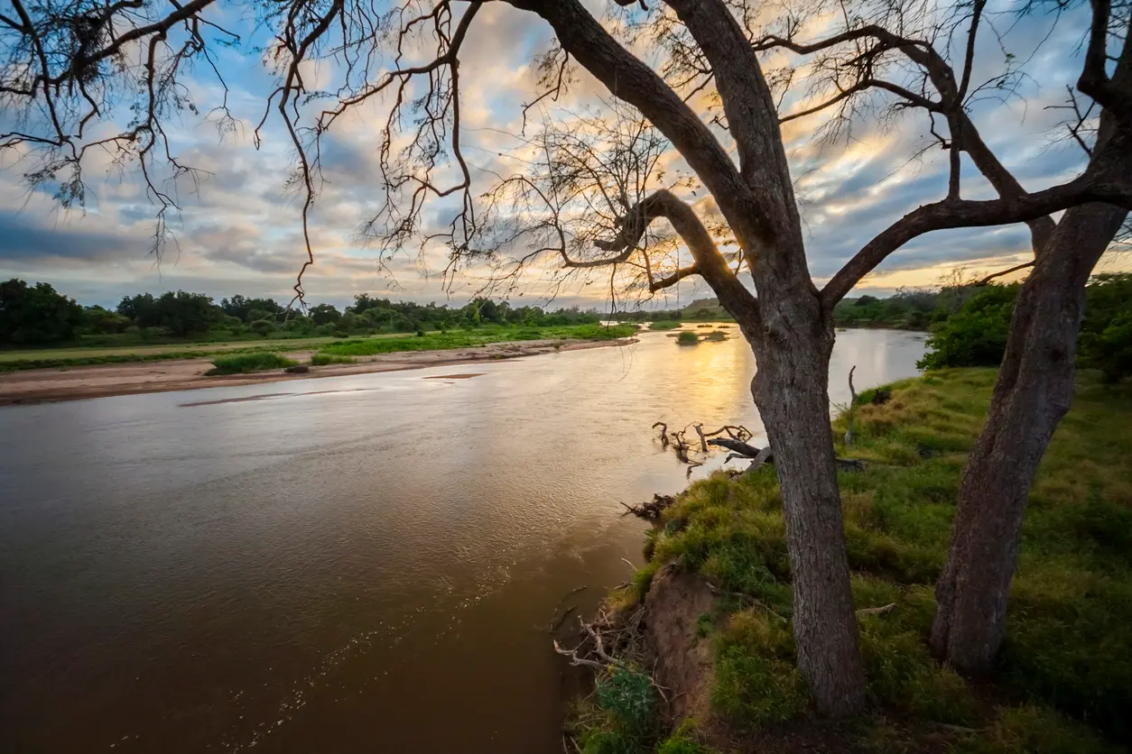 Golden evening light on the Limpopo River in the Mapungubwe region of northern Limpopo.