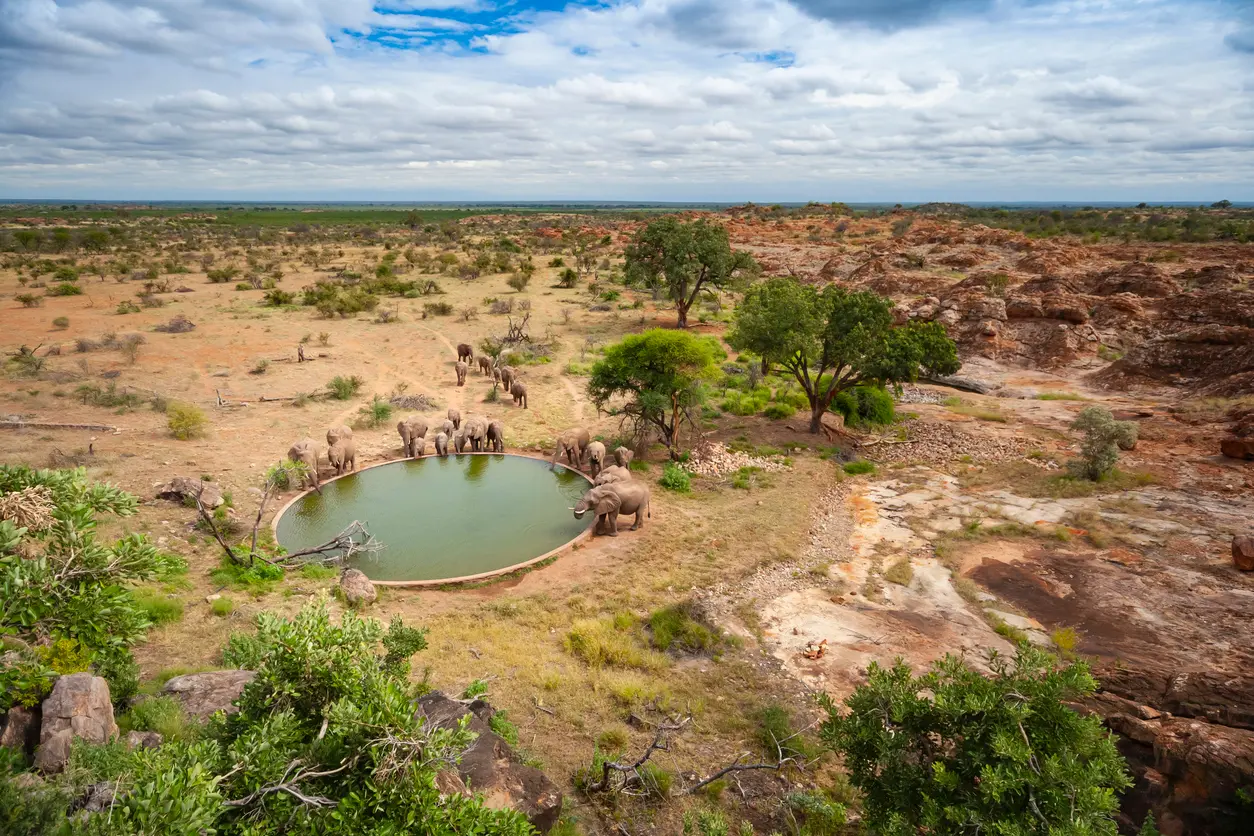 Elephants drinking at a waterhole in Mapungubwe National Park surrounded by sandstone hills and semi-arid wilderness.