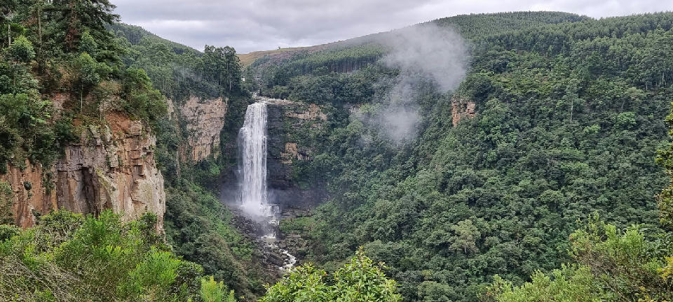 Karkloof Falls dropping into a deep forested gorge surrounded by indigenous woodland and plantation forests in the KwaZulu-Natal Midlands, South Africa.