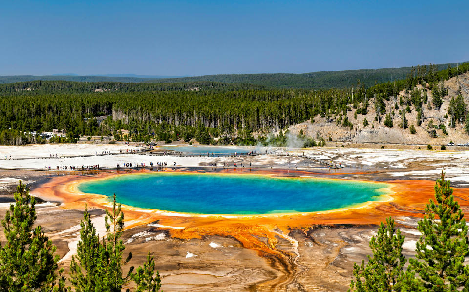 Grand Prismatic Spring elevated view Yellowstone