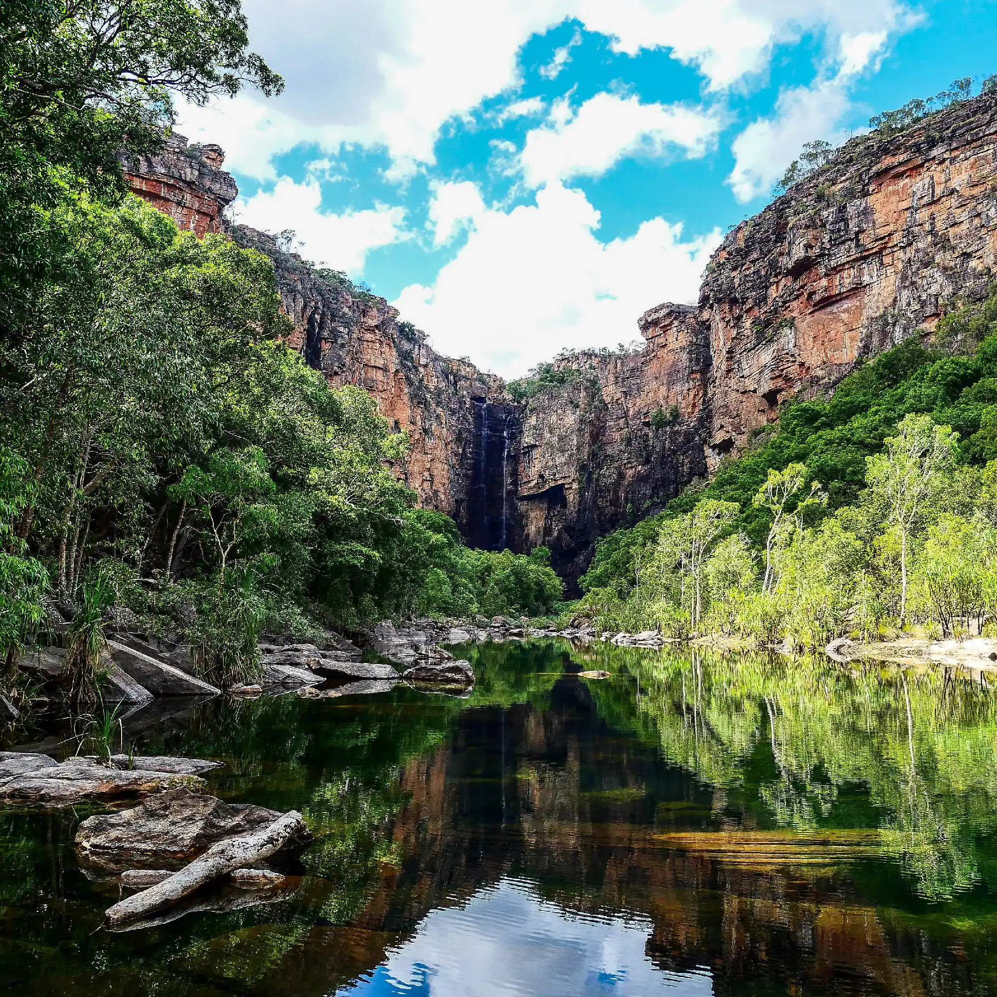 Sandstone cliffs and tropical forest reflected in the still plunge pool beneath Jim Jim Falls in Kakadu National Park, Northern Territory, Australia.