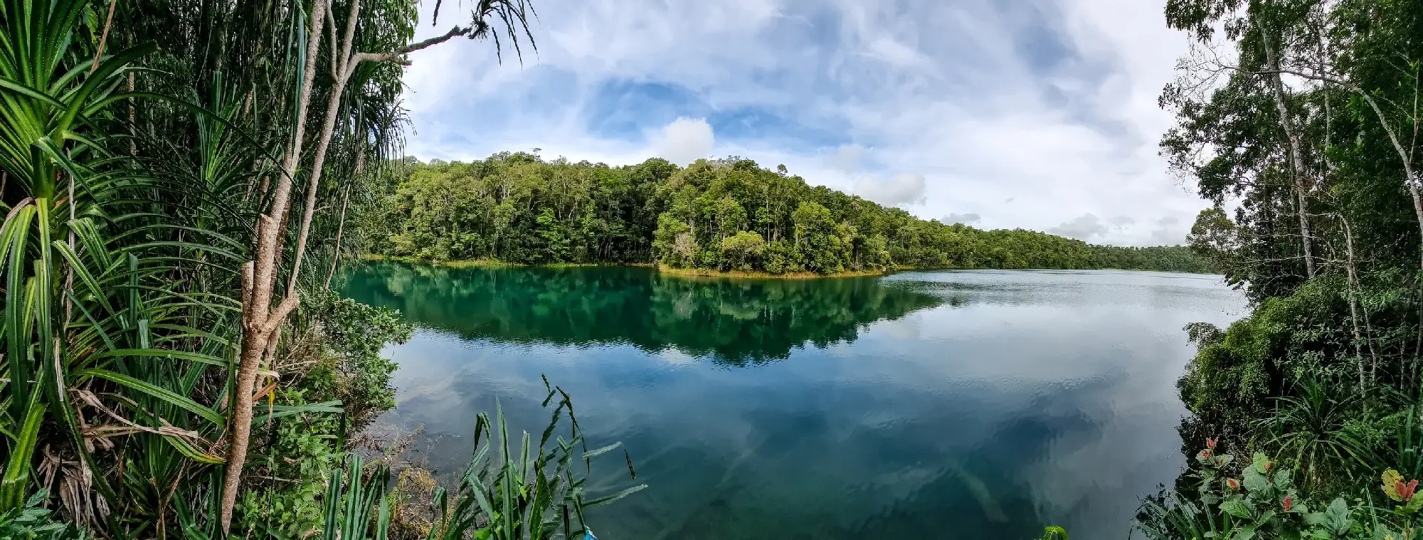 Panoramic view of Lake Eacham with emerald-green water, rainforest-covered shores and reflections in Queensland's Atherton Tablelands.