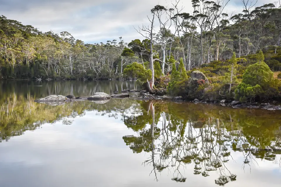 Lake Dobson reflecting autumn vegetation and forested slopes in Mount Field National Park, Tasmania.