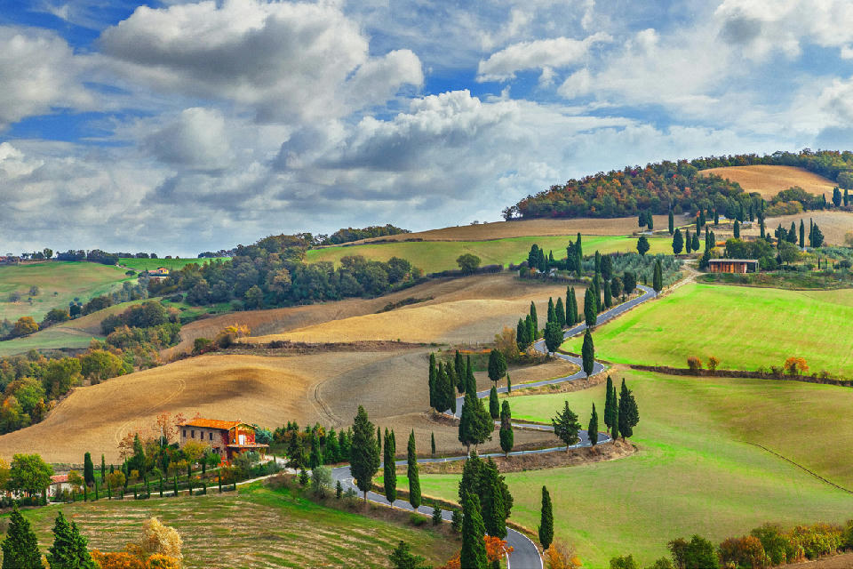 Cypress-lined winding road through rolling farmland near Monticchiello in the Val d’Orcia, Tuscany, Italy.