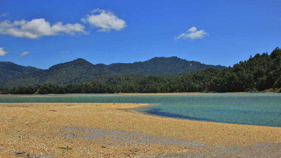 Low-tide sand flats and turquoise water at Awaroa Inlet in Abel Tasman National Park, New Zealand.