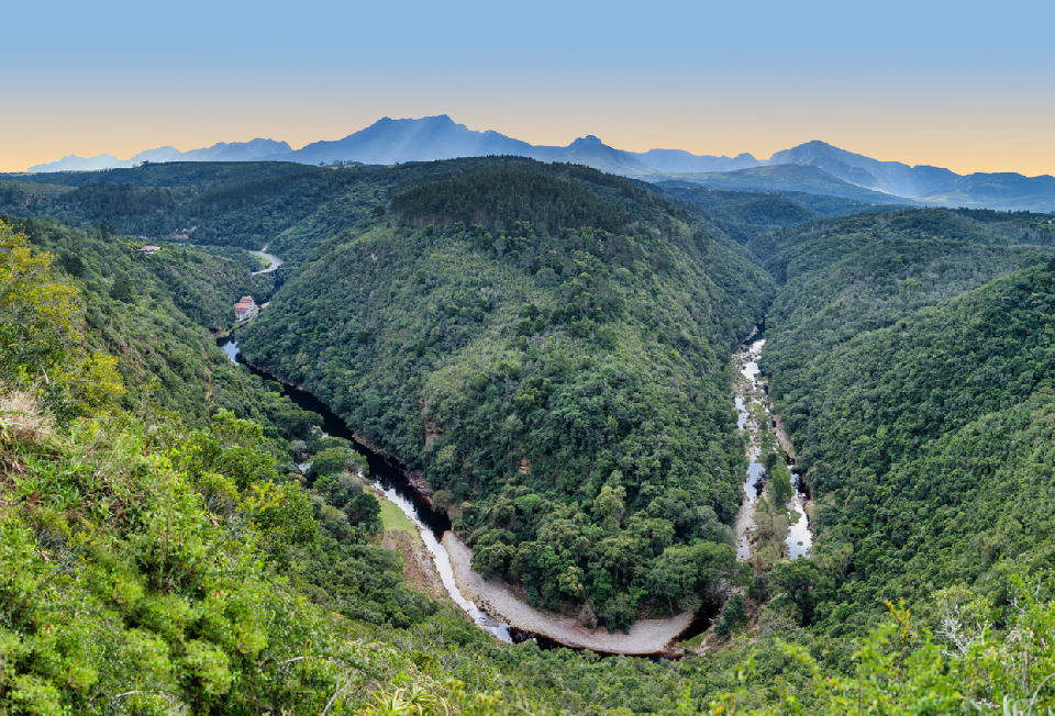The Map of Africa Viewpoint overlooking the winding Kaaimans River gorge, with forested hills and the Outeniqua Mountains rising beyond Wilderness on the Garden Route.