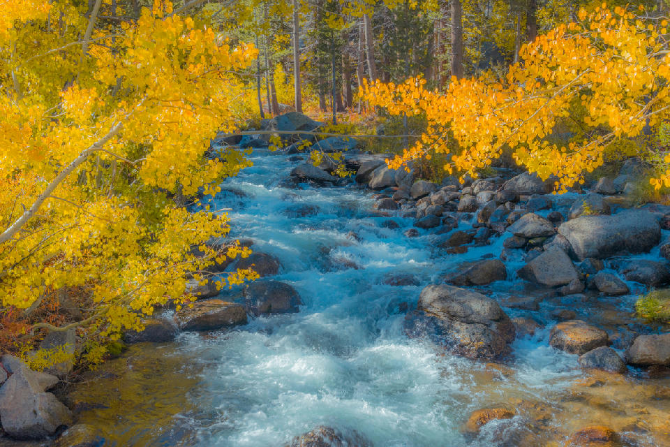 South Fork of Bishop Creek with fast flowing water, granite rocks, and bright yellow aspen trees in fall, Eastern Sierra Nevada, California