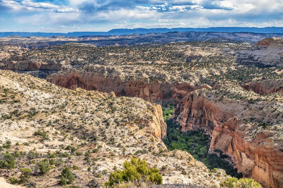 Sweeping view across layered sandstone cliffs, deep red-rock canyons and desert plateaus in Grand Staircase–Escalante National Monument.