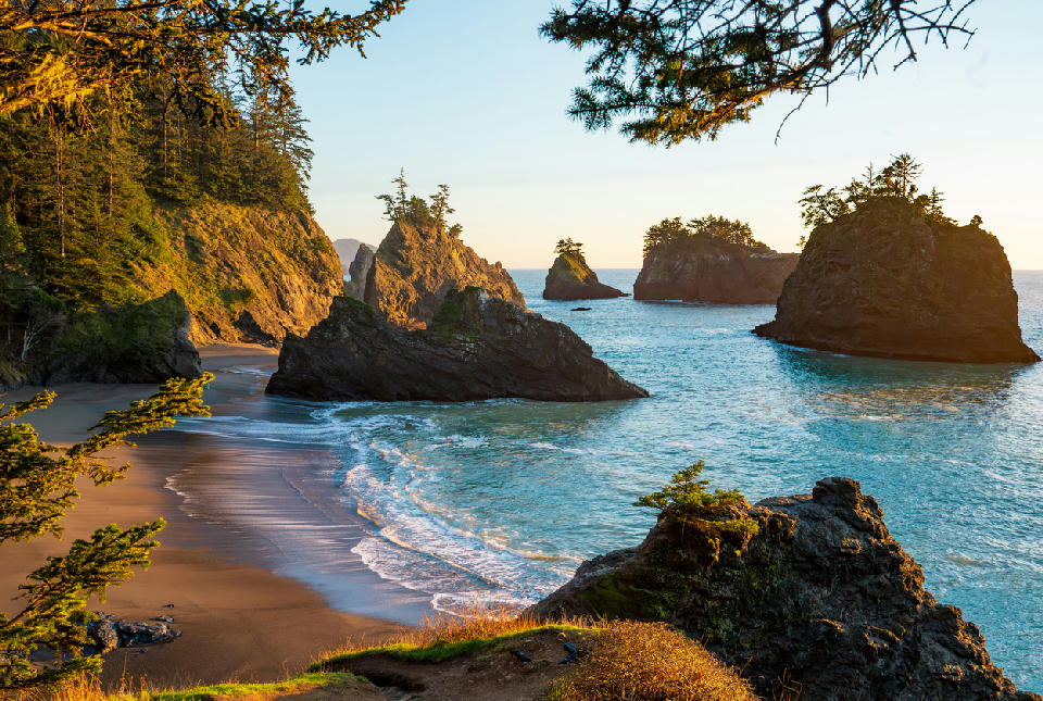 Golden light over sea stacks and a curved sandy cove at Samuel H. Boardman State Scenic Corridor on the Oregon Coast.