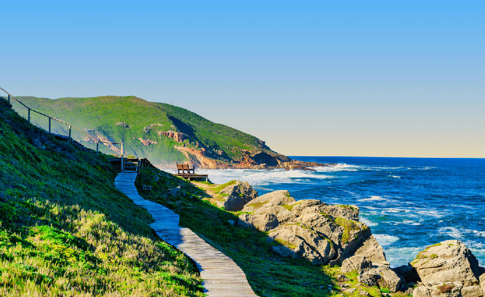 Wooden boardwalk through fynbos overlooking the coastline of Robberg Nature Reserve near Plettenberg Bay, South Africa.