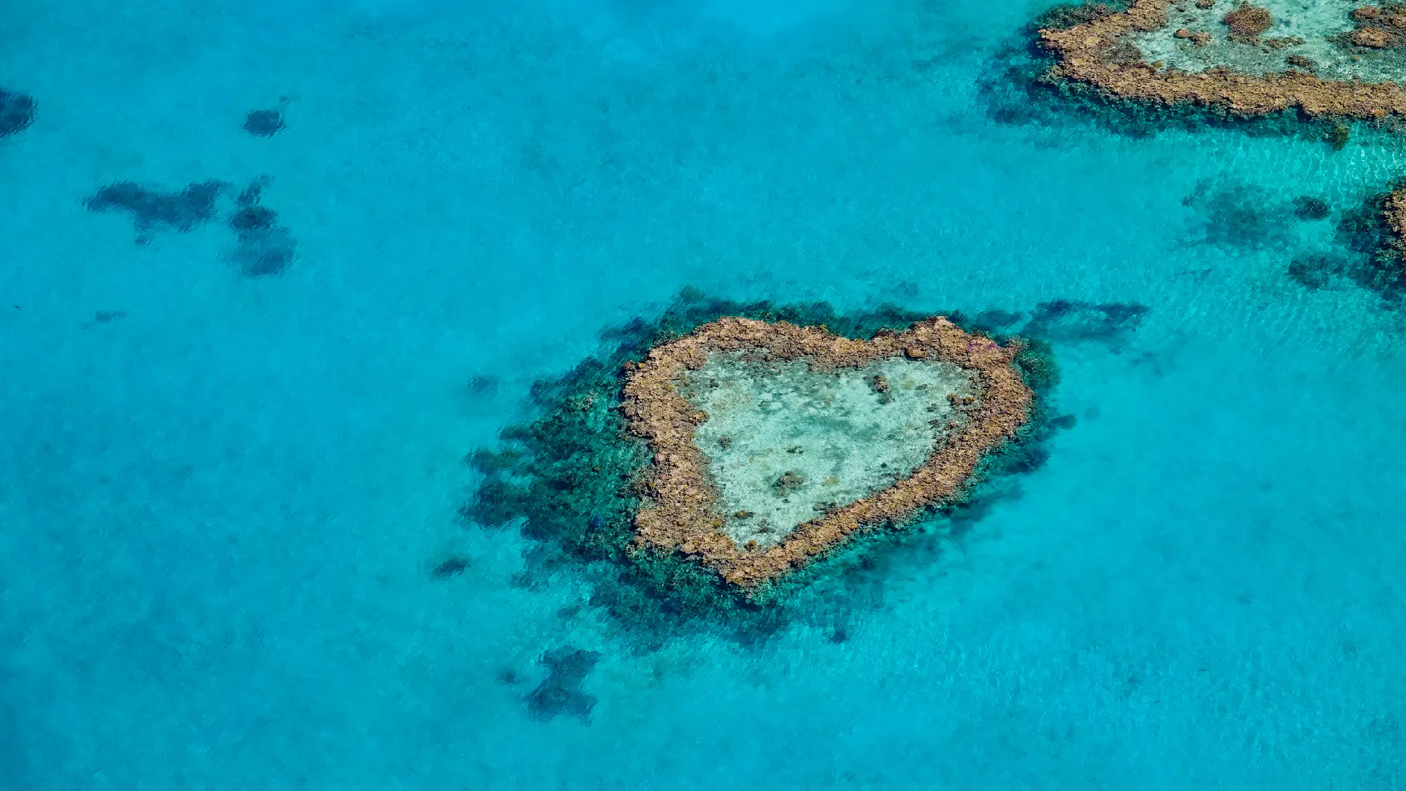 Aerial view of the naturally heart-shaped Heart Reef surrounded by turquoise water in the Great Barrier Reef, Queensland.