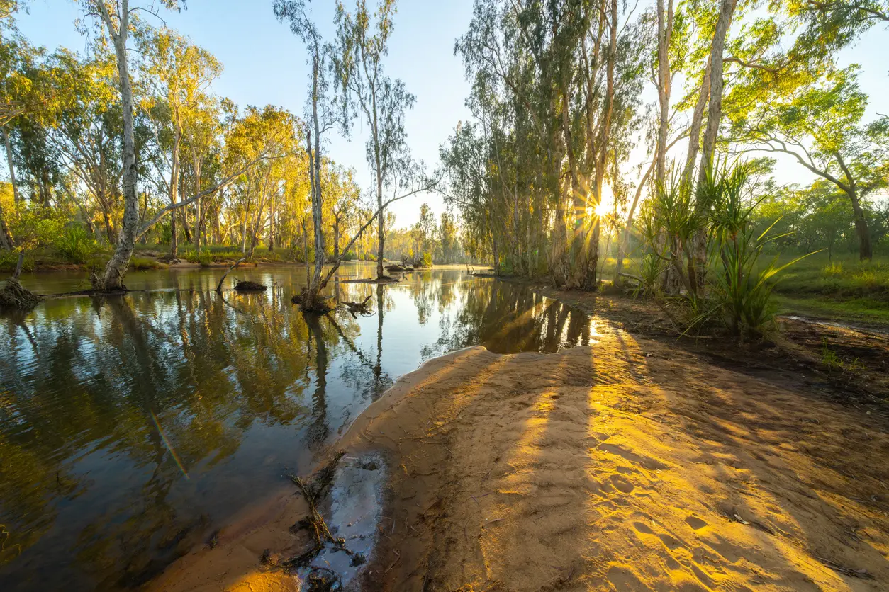 Early morning sunlight streams through riverside trees and reflects across the calm waters of the Drysdale River.