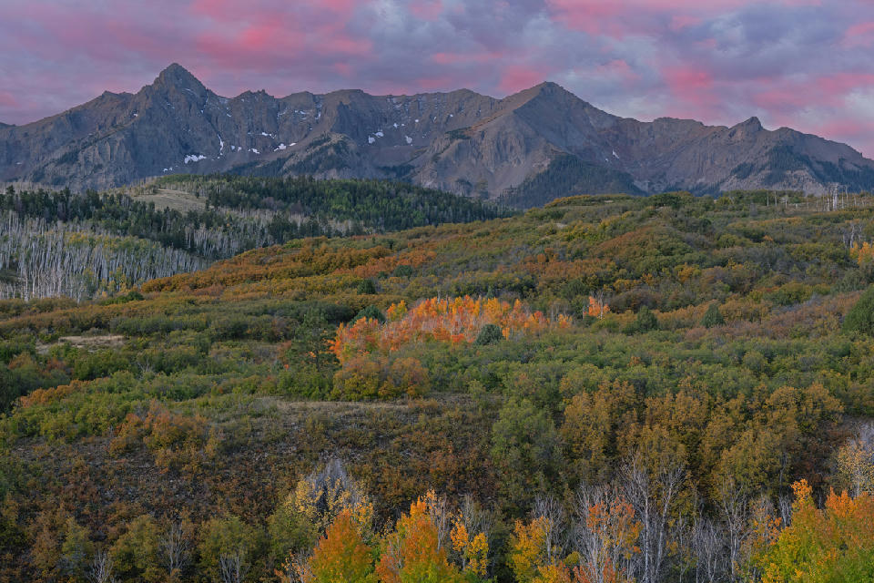 Fall colors at dawn across Dallas Divide with aspen trees and San Juan Mountains, Colorado.