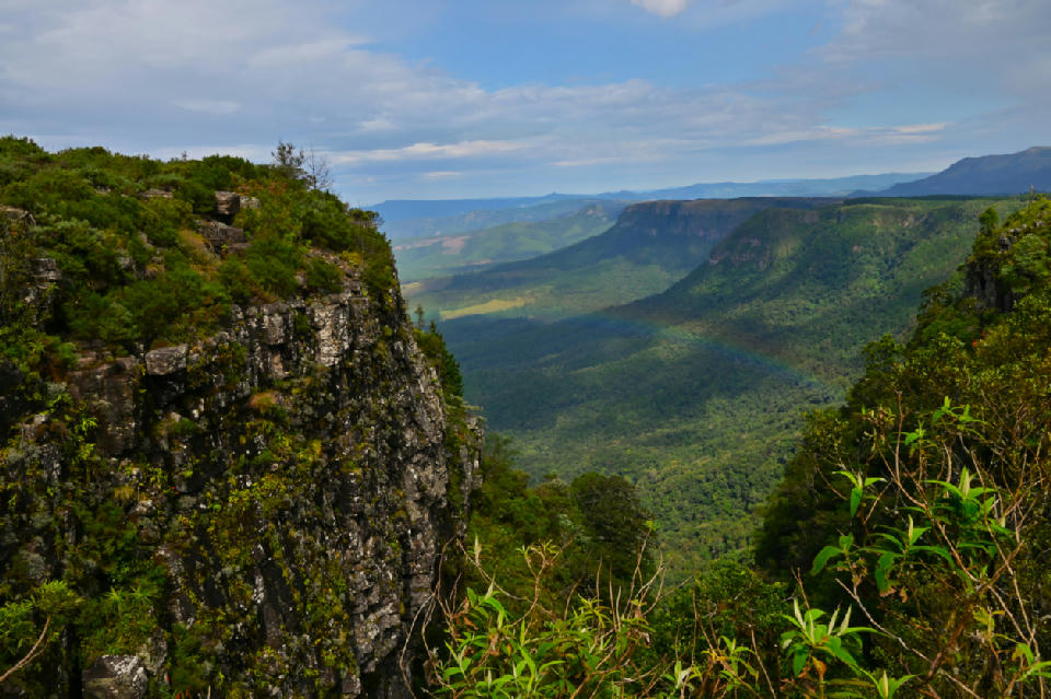 The Pinnacle Rock near Graskop, South Africa, a towering quartzite rock formation rising above dense indigenous forest within the Blyde River Canyon and Panorama Route region of Mpumalanga.