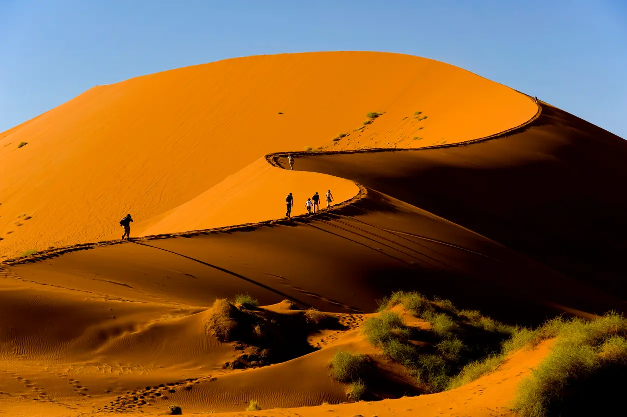 People climbing sweeping orange sand dunes with curved shadowed ridges beneath a clear blue sky in the Sossusvlei area of Namibia.