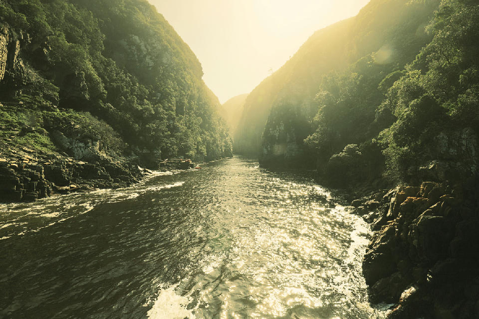 Sunlit view into Storms River Gorge with steep forested cliffs and the river flowing through the narrow canyon in Tsitsikamma.