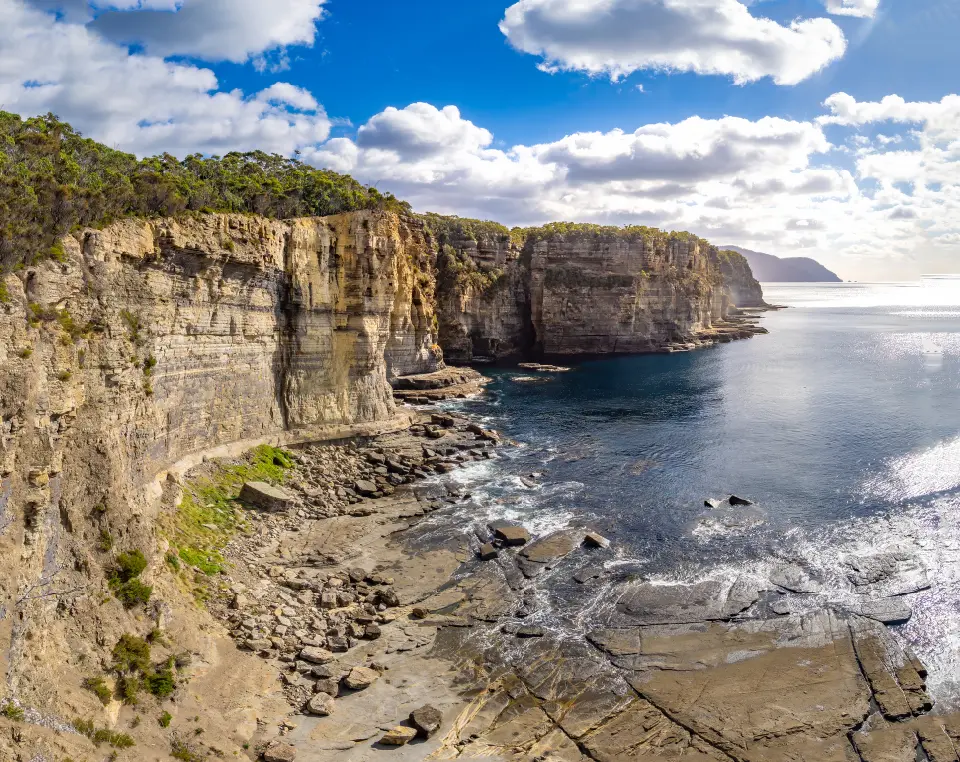 Towering sea cliffs, rocky coastal platforms and ocean in Tasman National Park, Tasmania.